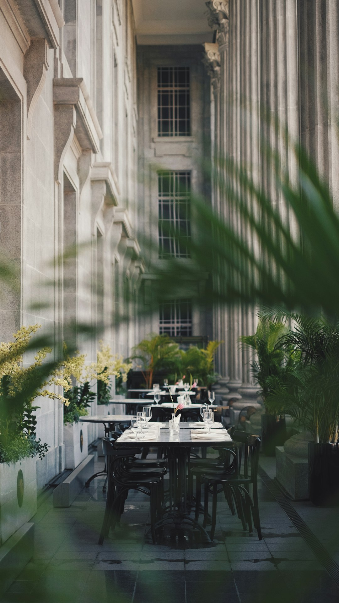 Fine Dining Restaurant